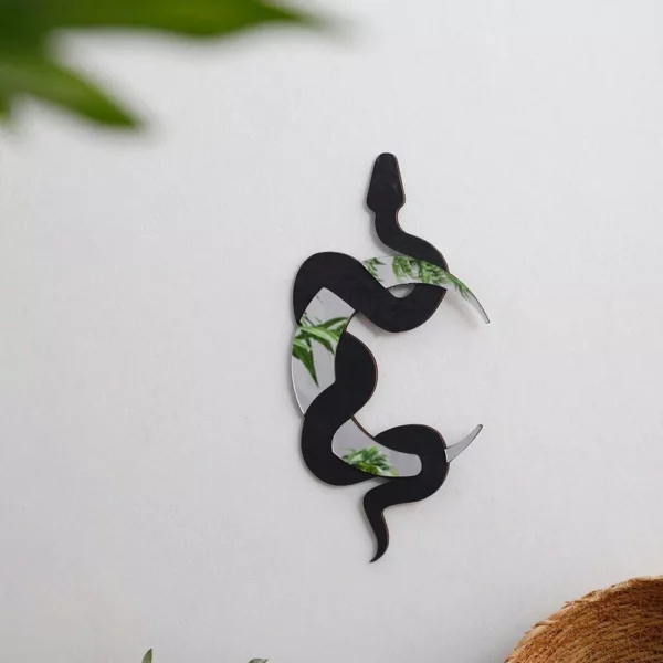 Enchanting Black Snake and Crescent Moon Mirror - Image 4