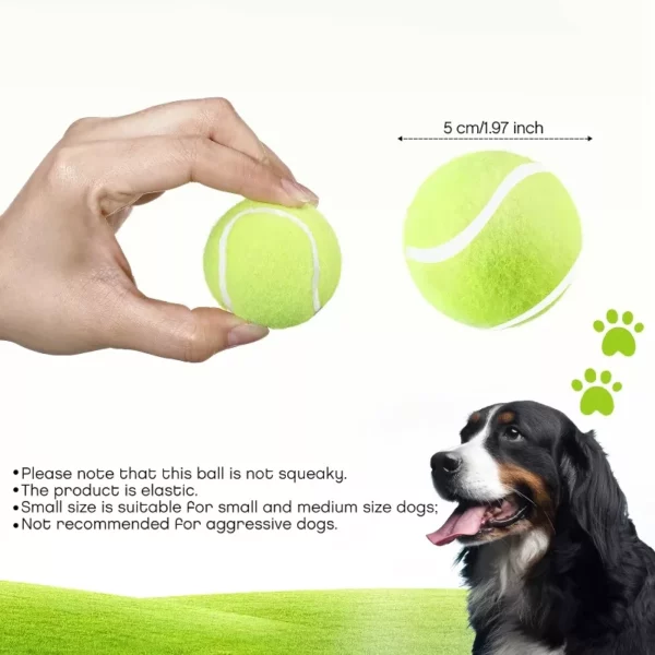 Fleece Tennis Balls for Pet Ball Throwers