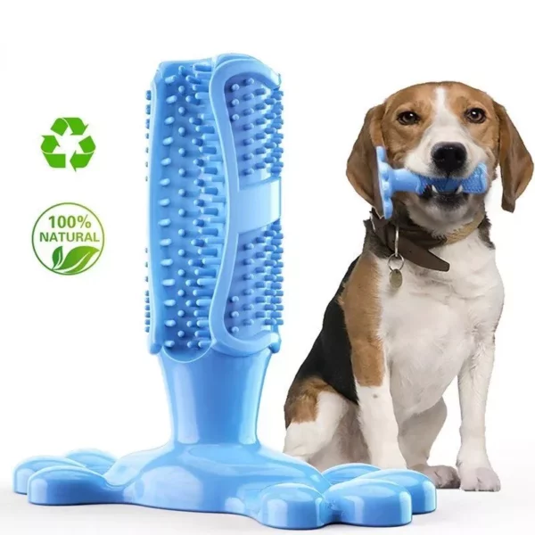 Chewable Toothbrush - Image 5