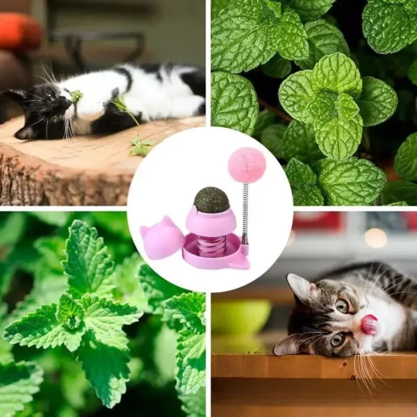 Adhesive Catnip Ball Toy with Spinning Top for Cats