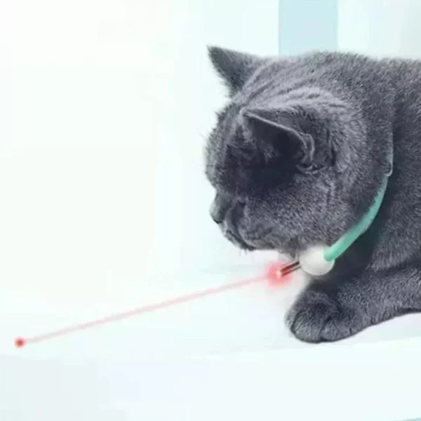 Adjustable Automatic Laser Cat Teaser Collar with USB Charging - Image 8