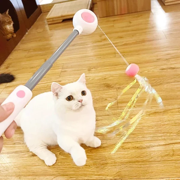 Telescopic Cat Teaser Wand