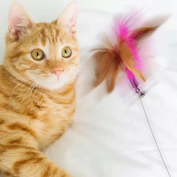 Cat Feather Teaser Wand with Bell – Interactive Kitten Play Toy