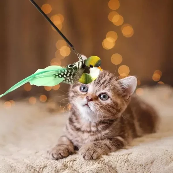 Chirpy Feather Bird Cat Teaser Toy with Bell – Interactive Kitten Play Wand