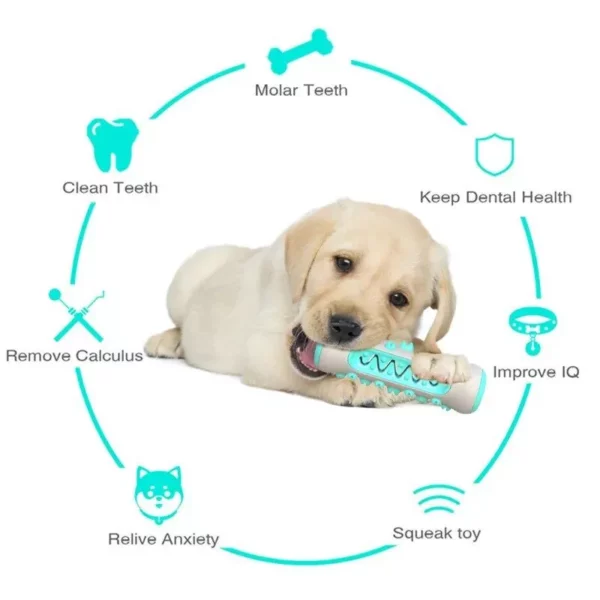 “Chew & Clean” Dog Toothbrush Toy – Dental Health Chew for Puppies and Dogs