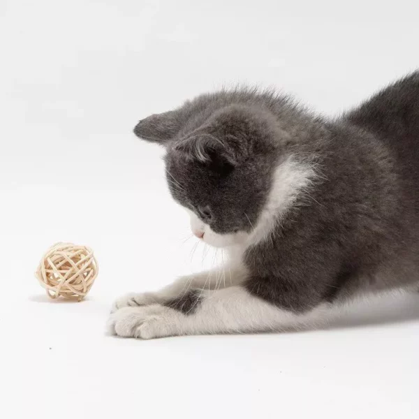 Handcrafted Rattan Ball and Feather Cat Toys – 2 Piece Set with Bell for Interactive Play