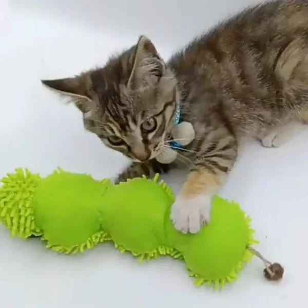 Interactive Green Caterpillar Catnip Toy for Kittens