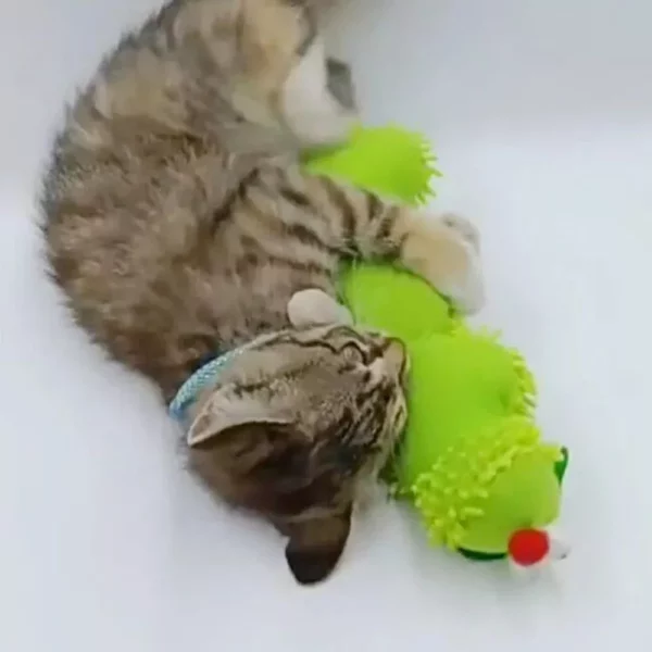 Interactive Green Caterpillar Catnip Toy for Kittens