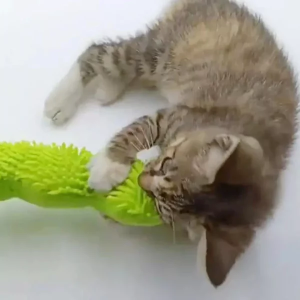 Interactive Green Caterpillar Catnip Toy for Kittens