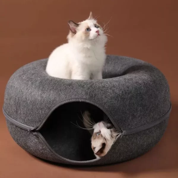 Multi-Functional Donut Cat Bed & Interactive Tunnel – Cozy Felt Indoor Pet Playhouse