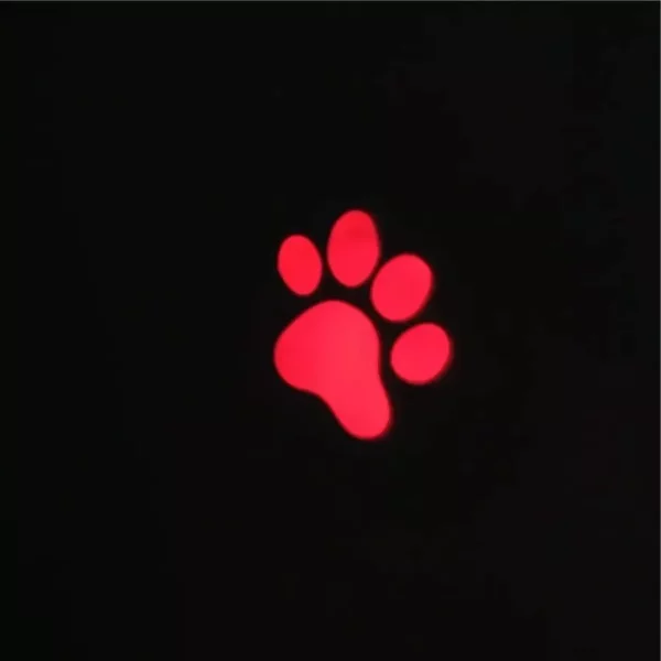 Interactive Cat Laser Toy with Animated Mouse Projection - Image 5