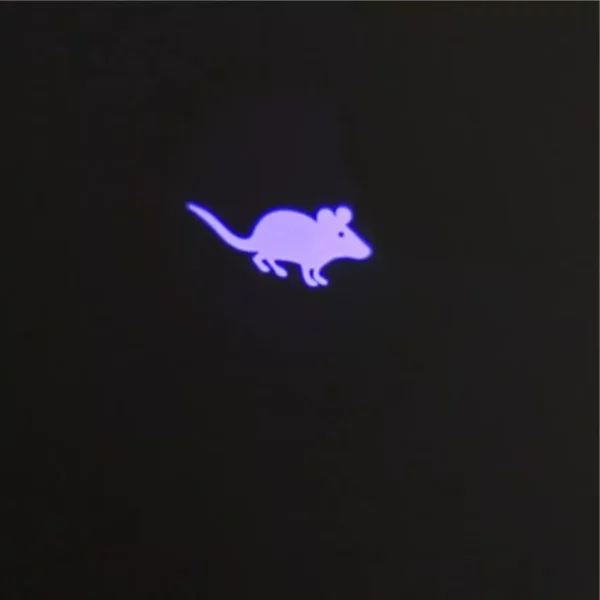 Interactive Cat Laser Toy with Animated Mouse Projection