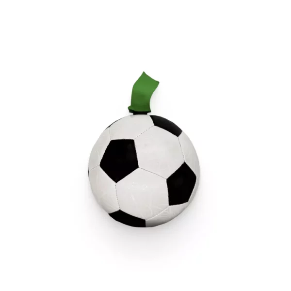 Dog Soccer Ball Toy - Image 2