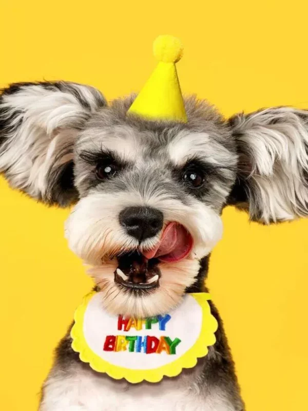 Colorful Pet Birthday Bandana & Party Hat Set for Cats and Dogs