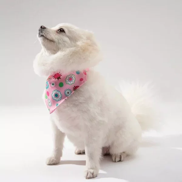 Chic Pet Bandanas