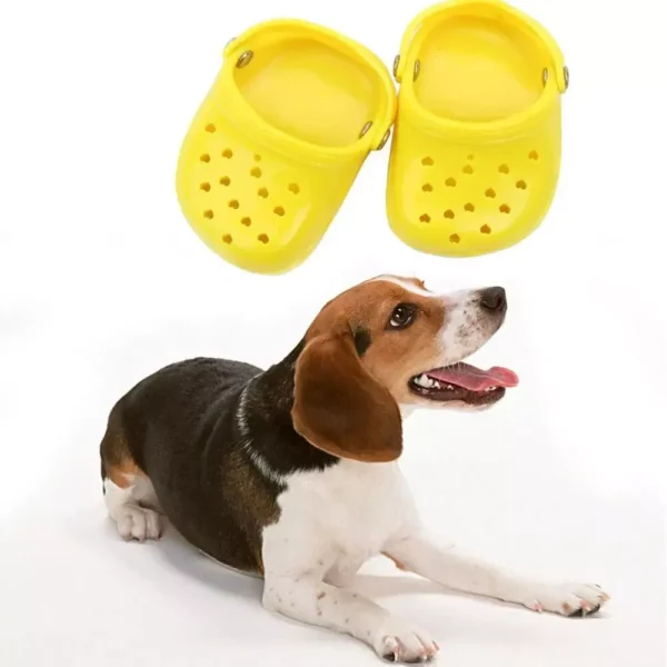 Chic Summer Dog Sandals – Breathable and Non-slip Pet Footwear for Small Dogs