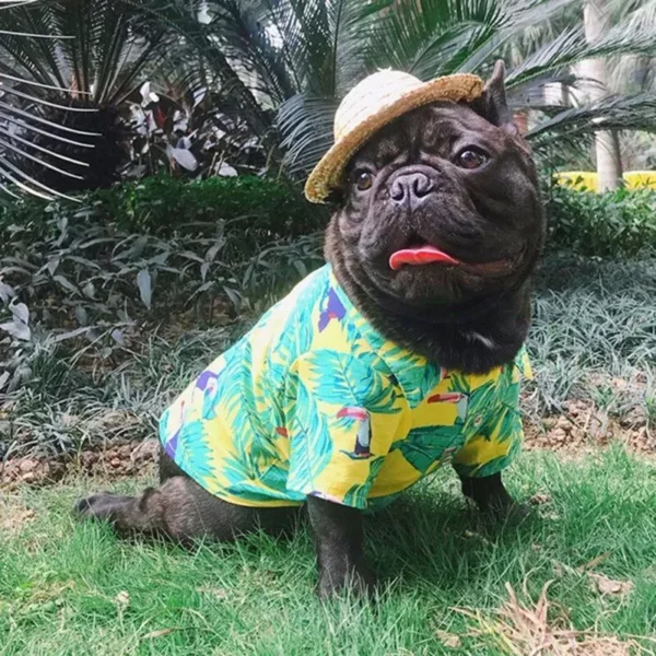 Floral Summer Pet Shirts in Hawaiian Style for Small Dogs and Cats