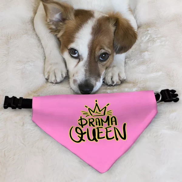 Drama Queen Pet Bandana Collar – Funny Scarf Collar – Themed Dog Bandana