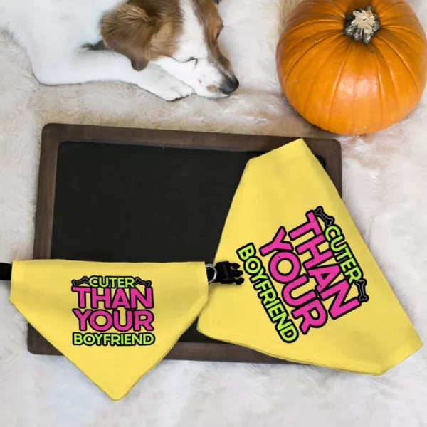 Cuter Than Your Boyfriend Pet Bandana Collar – Funny Scarf Collar – Colorful Dog Bandana