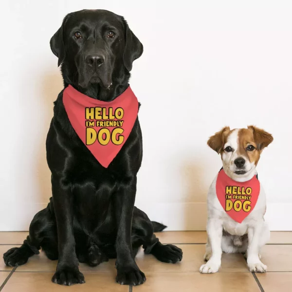 I’m Friendly Dog Pet Bandana Collar – Themed Scarf Collar – Cute Dog Bandana