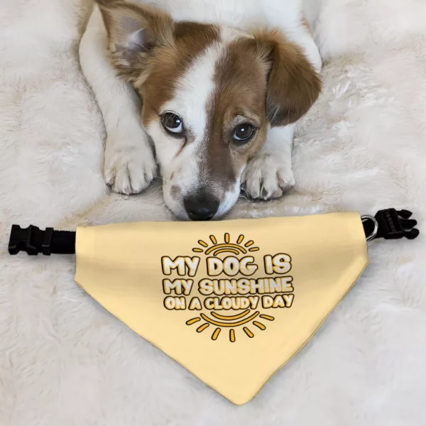 My Dog Is My Sunshine Pet Bandana Collar – Phrase Scarf Collar – Cute Dog Bandana