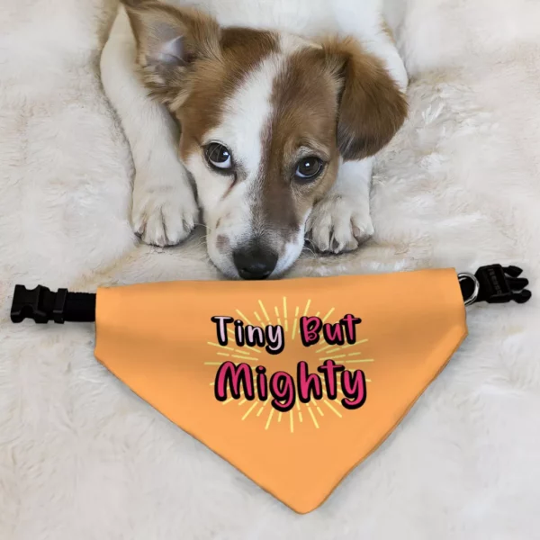 Tiny but Mighty Pet Bandana Collar – Art Scarf Collar – Word Art Dog Bandana