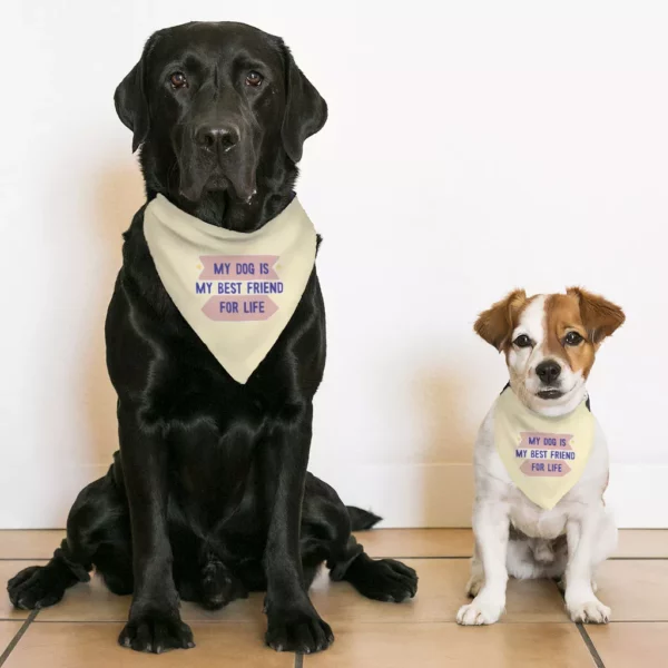 My Dog Is My Best Friend Pet Bandana Collar – Cute Scarf Collar – Art Dog Bandana