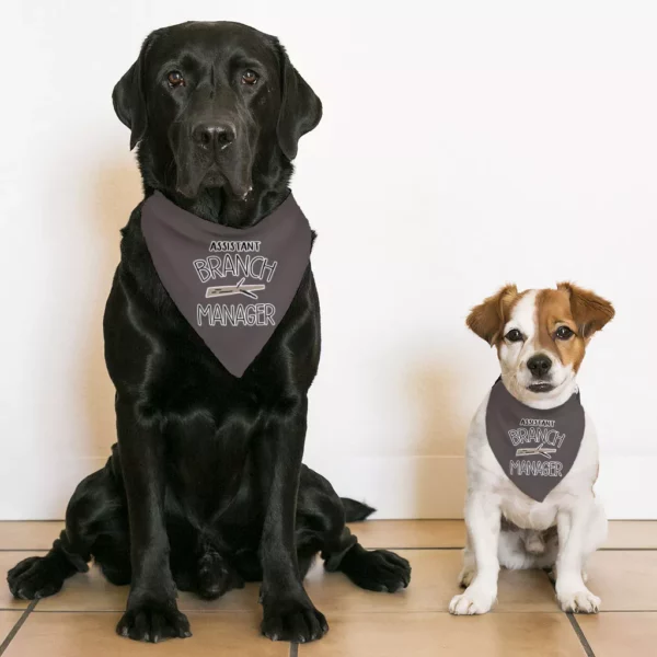 Assistant Branch Manager Pet Bandana Collar – Minimalist Scarf Collar – Print Dog Bandana