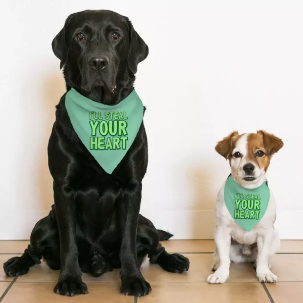 I’ll Steal Your Heart Pet Bandana Collar – Art Print Scarf Collar – Word Design Dog Bandana