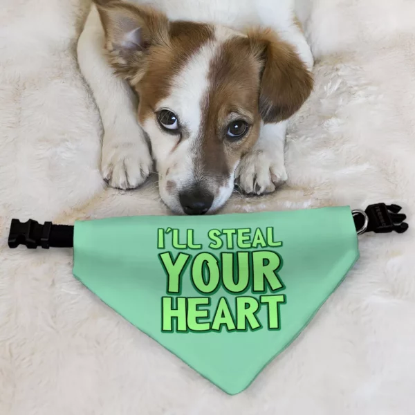 I’ll Steal Your Heart Pet Bandana Collar – Art Print Scarf Collar – Word Design Dog Bandana