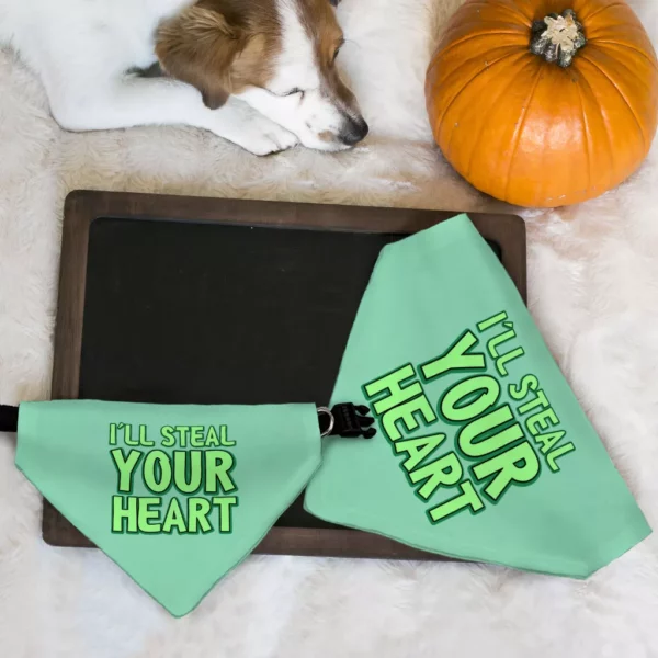 I’ll Steal Your Heart Pet Bandana Collar – Art Print Scarf Collar – Word Design Dog Bandana