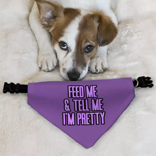 Feed Me Pet Bandana Collar - Word Design Scarf Collar - Dog Theme Dog Bandana - Image 6