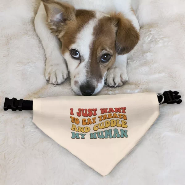 Cuddle My Human Pet Bandana Collar - Unique Scarf Collar - Print Dog Bandana - Image 6