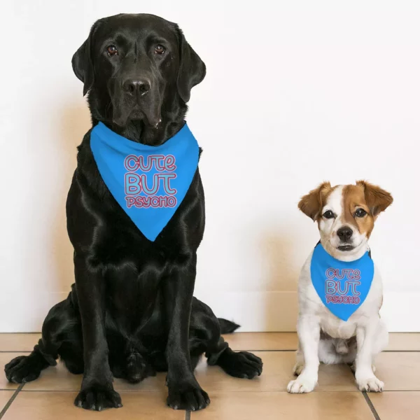 Cute but Psycho Pet Bandana Collar – Beautiful Scarf Collar – Phrase Dog Bandana