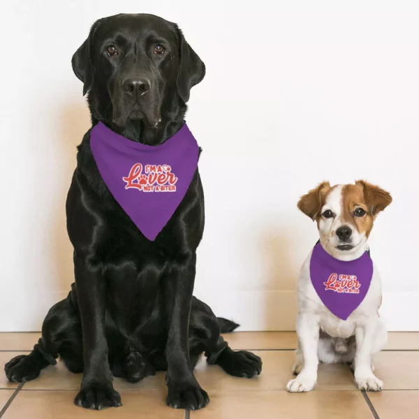 I'm a Lover Not a Biter Pet Bandana Collar - Funny Scarf Collar - Phrase Dog Bandana - Image 5