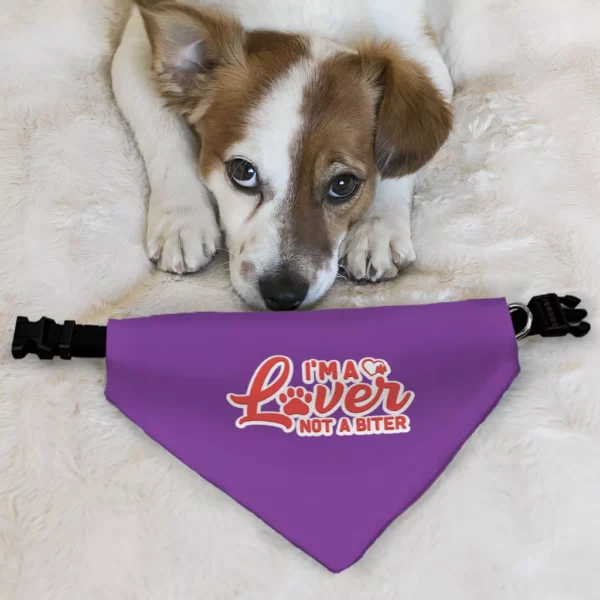 I’m a Lover Not a Biter Pet Bandana Collar – Funny Scarf Collar – Phrase Dog Bandana