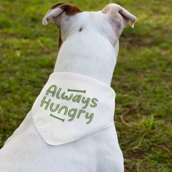 Always Hungry Pet Bandana Collar – Funny Scarf Collar – Best Design Dog Bandana