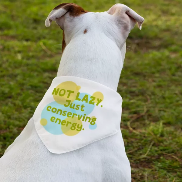 I Am Not Lazy Pet Bandana Collar – Quote Scarf Collar – Themed Dog Bandana