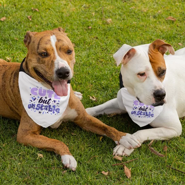 Cute but Unstable Pet Bandana Collar - Funny Design Scarf Collar - Graphic Dog Bandana - Image 4