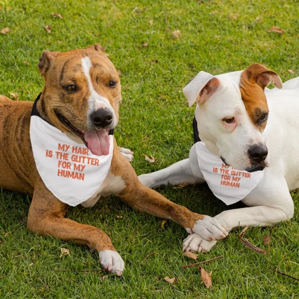 Cool Saying Pet Bandana Collar - Best Quote Scarf Collar - Printed Dog Bandana - Image 4