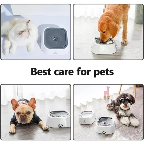 Spill-Proof & Non-Wetting 1.5L Pet Water Bowl