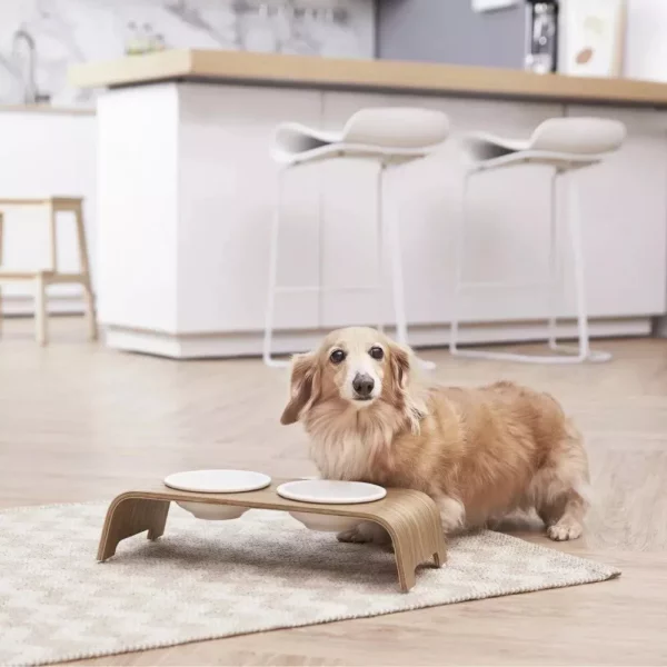 Small Elevated Pet Feeder with Ceramic Bowls - Image 7