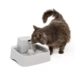 Automatic 1/2 Gallon Pet Water Fountain