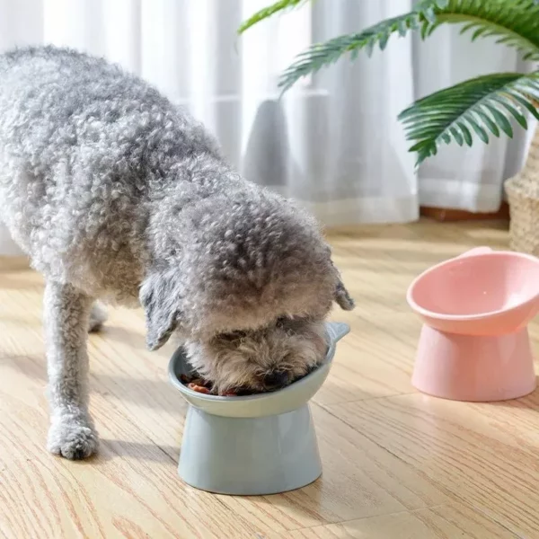 Ergonomic High-Foot Pet Bowl for Cats & Dogs