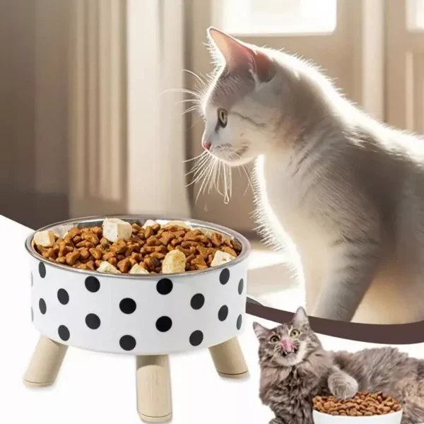 Elevated Comfort Cat & Small Dog Feeding Bowl - Image 7