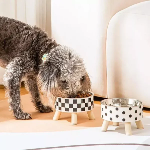 Elevated Comfort Cat & Small Dog Feeding Bowl