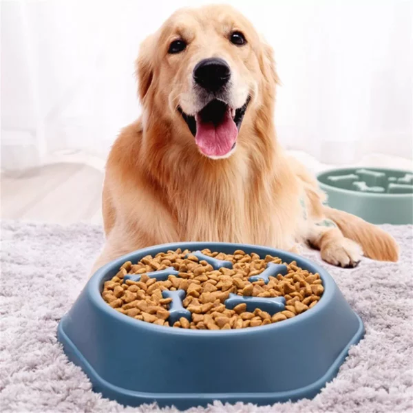 Choke-Proof Non-Slip Slow Feeder Bowl for Small Dogs and Cats