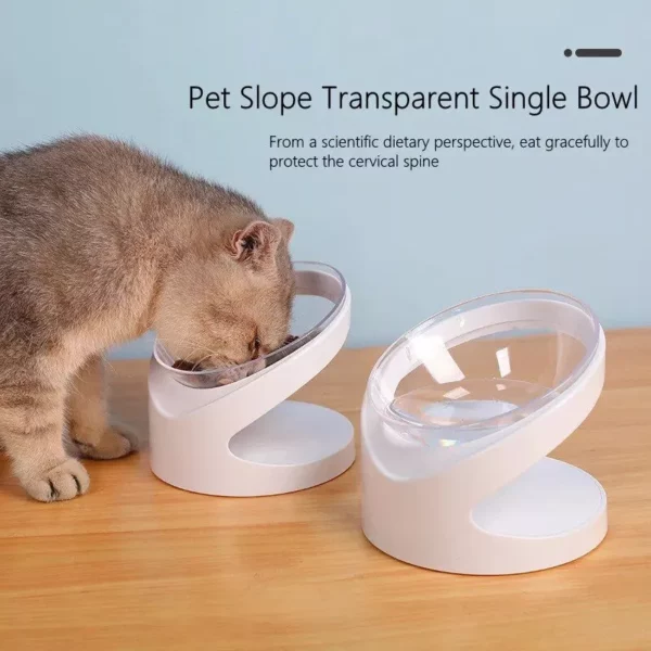 Elevated Non-Slip Cat & Small Dog Feeder Bowl