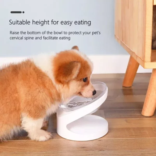 Elevated Non-Slip Cat & Small Dog Feeder Bowl