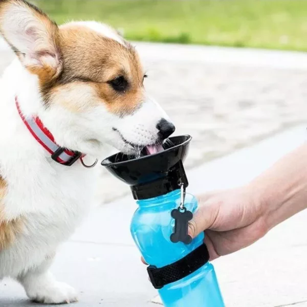 Compact Portable Pet Water Bottle